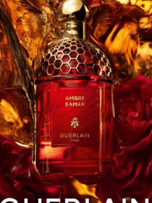 93c50a5816178278c9d39474e0725527