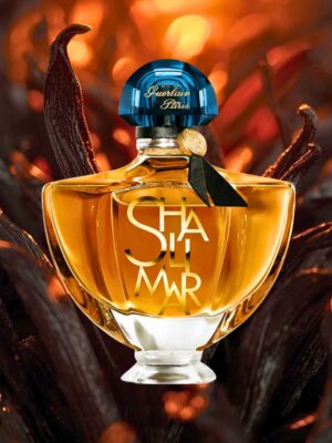 96e80addecf5fe5a2ddbb0bc13703978