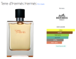 Terre d'Hermès Hermès for men