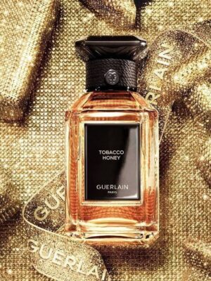 a41b9c8ec3eceff35b04404e67628e7d