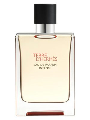 Terre d’Hermès Intense Hermès for men