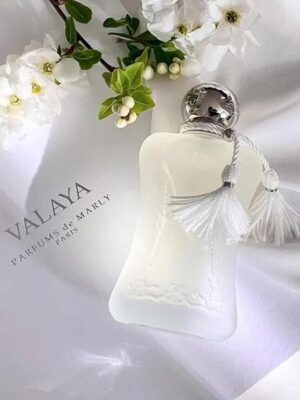 d2b043c37beb1f374bb8acca2330a39a