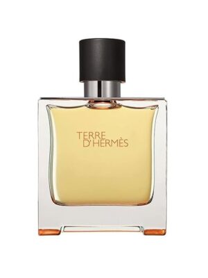 Terre d'Hermès Hermès for men