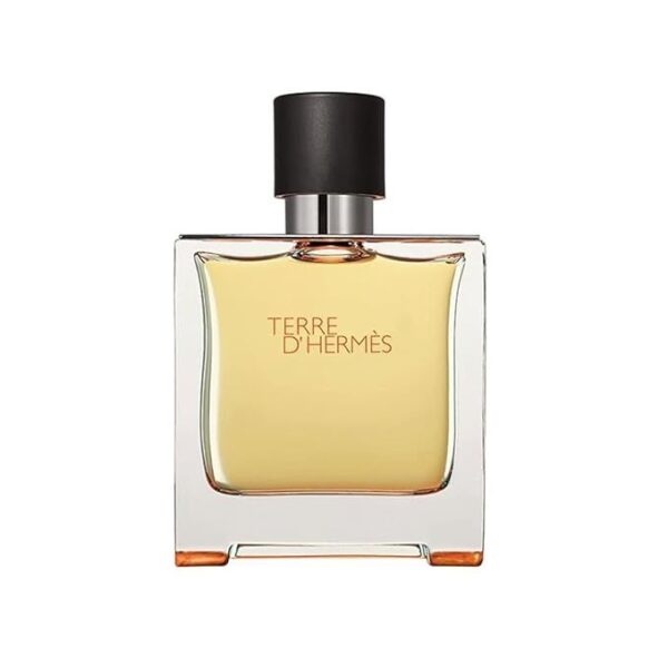 Terre d'Hermès Hermès for men