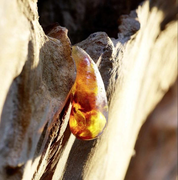 Dior Sauvage Eau de Toilette 100ml